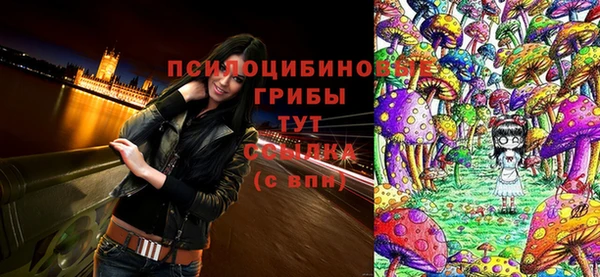 2c-b Алзамай