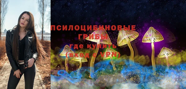 спиды Алексин